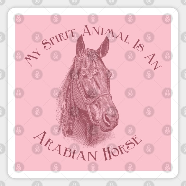 Arabian Horse Fun Saying Magnet by Biophilia